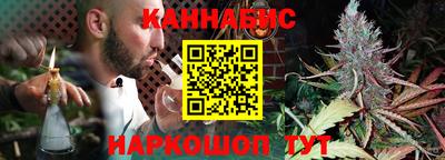 дмт Будённовск