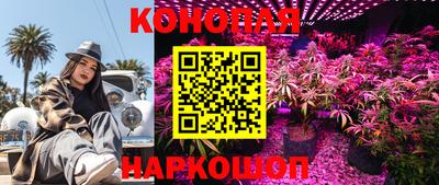 дмт Будённовск